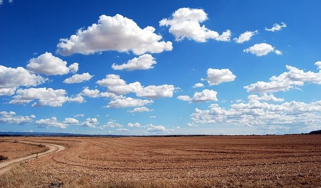 A vast plain under a blue sky dotted with fluffy clouds, suggesting a serene natural landscape.