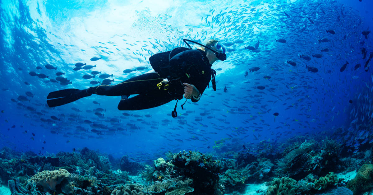 Scuba Diving scuba-diving