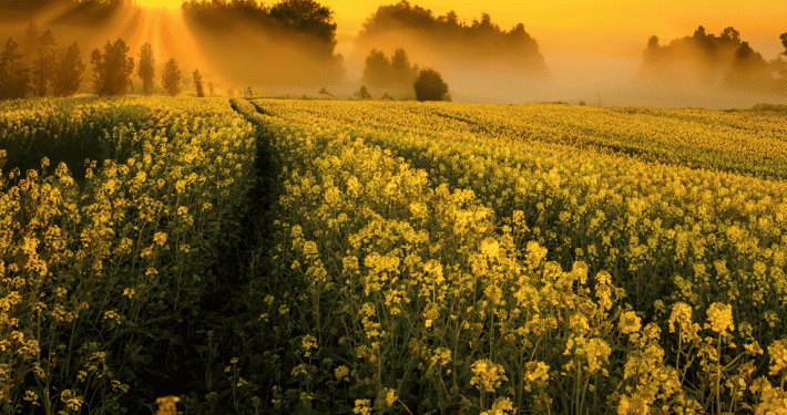 A tiny image of a scenic landscape at sunset, too small to detail.